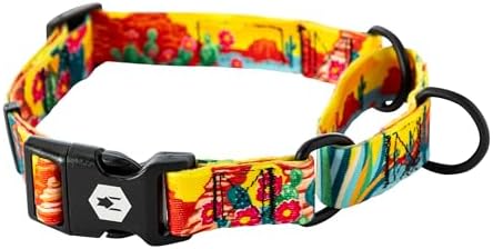 Wolfgang Heavy Duty Martingale Dog Collar with Quick Release Nylon Buckle for Walking & Training, PackLeader Print, Large