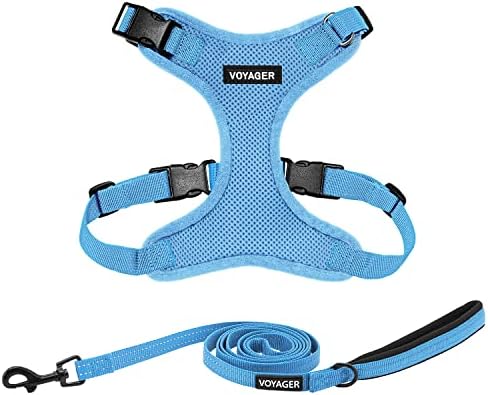 Best Pet Supplies Voyager Step-in Lock Pet Harness w Reflective Pet Leash Combo Set with Neoprene Handle 5ft - Supports Small, Medium and Large Breed Puppies/Cats - Baby Blue, S
