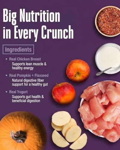 Whole Life Dog – Crunchables Dog Treats for Gut Health & Digestive Support, Constipation Relief, Digestive Health & Immune Support for Sensitive Stomachs, Pumpkin & Yogurt Crunchy Treats