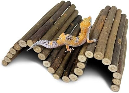 Hamiledyi 13.8" L x 7.9" W Wooden Reptile Bridge Ladder Climbing Toy Natural Hideout Tunnel Ramp for Lizards Gecko Spiders Snakes Tortoise