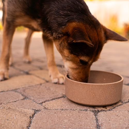 Loving Pets - Dolce Bamboo - Eco-Friendly Pet Bowls & Dishes for Dog, Cats, Puppy Food and Water Dish -Sustainable and Dishwasher Safe, Made with Real Bamboo (Medium, Coffee-Brown)