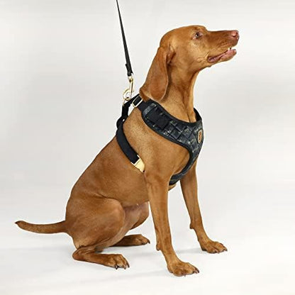 Snoop Doggie Doggs Quilted Velvet Deluxe Pet Harness with Logo Pattern and Gold-Tone Metal Hardware