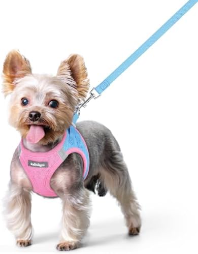rabbitgoo Dog Harness Small Sized and Leash Set, Step-in Puppy Pet Vest