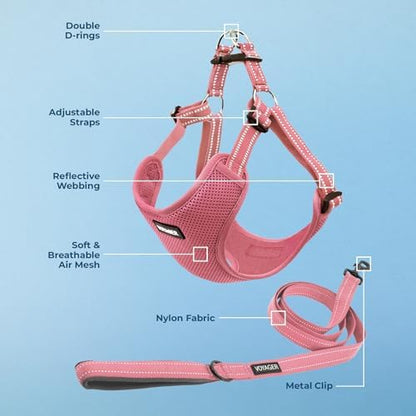 Best Pet Supplies Voyager Adjustable Step-in Flex Breathable Mesh Dog Harness for Small Medium Large Dogs Leash Set (Pink), XL