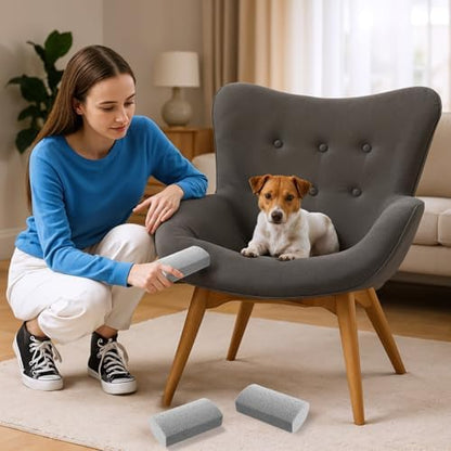 InnoHHustle 2 Pcs Pet Hair Block, Pet Hair Remover Grey Pumice Stone for Dog Cat Fur Removal Cleaning Dog Cat Fur Remover Stone Pets Rocks for Sofa Car Interior Bedding Carpet Couch Furniture