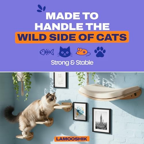 Cat Wall Shelves, Natural Floating Cat Furniture with Bed & Steps