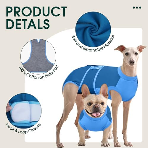 Kuoser Dog Recovery Suit, Female Male Spay Neuter Surgery Suit, Blue, S