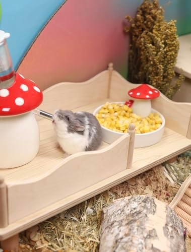 Niteangel Hamster Snack & Treats Toy - Freeze-Dried Corn & No Additive