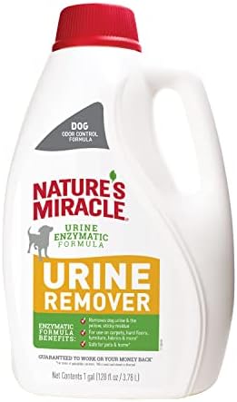 Nature's Miracle Dog Urine Remover, Enzymatic Cleaner, 1 gal