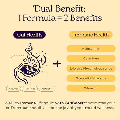 WellJoy Immune Cat Supplement + Lysine, Astaxanthin, GutBoost, 90ct