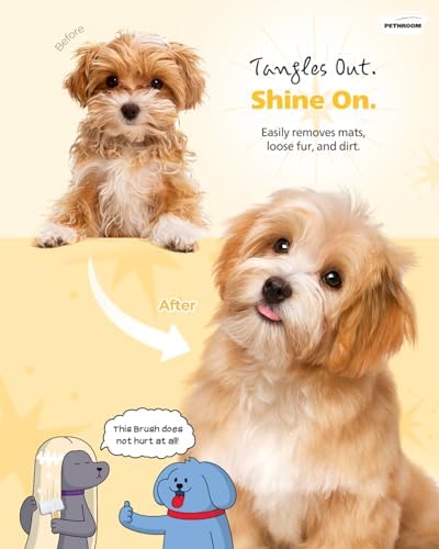 PETHROOM Self-Cleaning Slicker Brush for Dogs & Cats