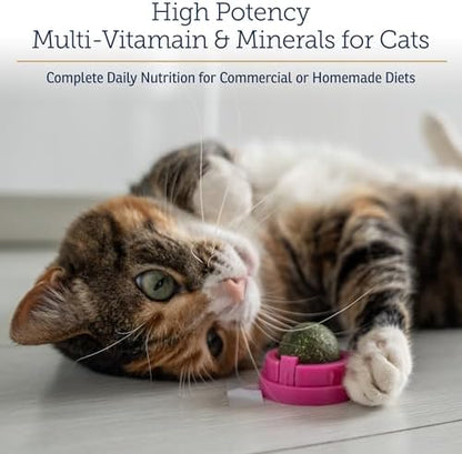 Rx Vitamins Essentials for Cats - Cat Multivitamin & Multimineral - 4oz