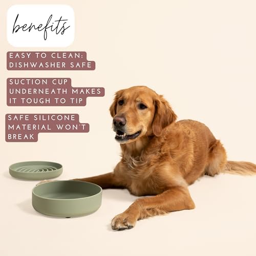 The Perfect Dish - Silicone Dog Bowl for Food & Water, 9.5" x 2.5"- Sage
