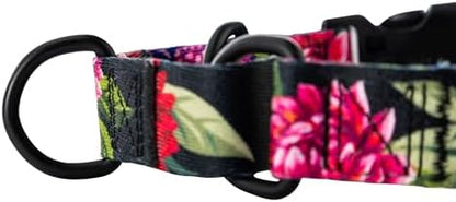 Wolfgang Heavy Duty Martingale Dog Collar with Quick Release Nylon Buckle for Walking & Training, DarkFloral Print, Large