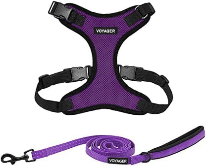 Best Pet Supplies Voyager Step-in Lock Pet Harness w Reflective Pet Leash Combo Set with Neoprene Handle 5ft - Supports Small, Medium and Large Breed Puppies/Cats - Purple/Black Trim, XS