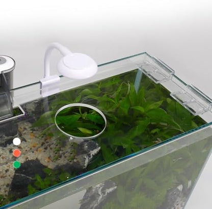 3 Gallon Glass Small Fish Tank, Betta Fish Tank Starter Kit with Filter, Lights,Lid.