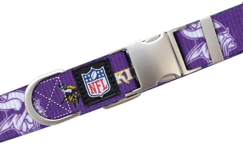 Littlearth NFL Detroit Lions Pet Premium Collar, Team Color, Small