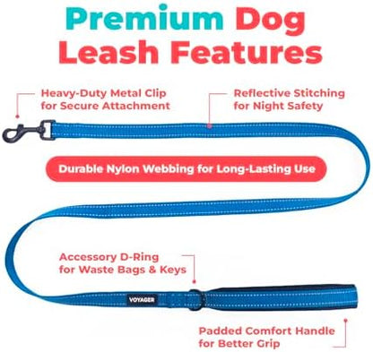 Best Pet Supplies Voyager Nylon Dog Leash - Royal Blue, Small