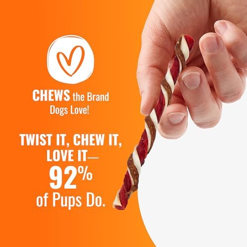 GOOD 'N' FUN Twists Long-Lasting Dog Treat with Real Bully, 12 Count