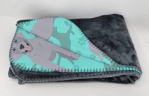 Caroline's Treasures MLM1054TBLT Silver Labrador Retriever Soft Travel Blanket with Bag Airplane Blanket, Indoor Outdoor Camping Blanket for Traveling, Picnics, Beach Trips, Concerts