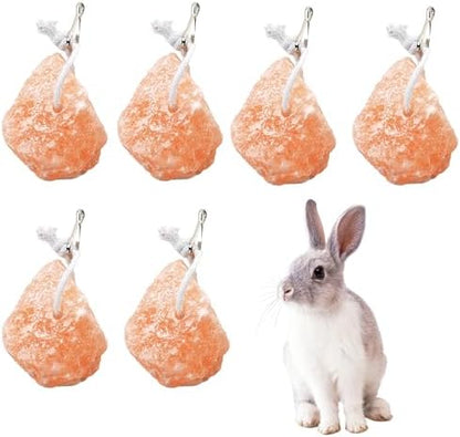 kathson Small Animal Himalayan Salt Lick Block Rabbit Salt Blocks Natural Mineral Salts Chew Treat Supplies for Bunny Hamsters Chinchilla Squirrels Guinea Pig Ferret (6 PCS)