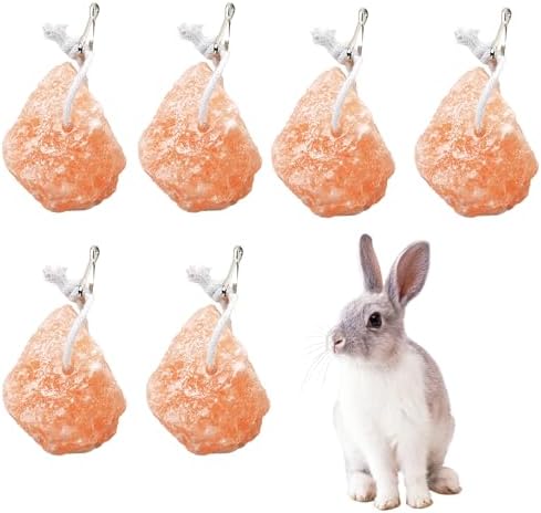 kathson Small Animal Himalayan Salt Lick Block Rabbit Salt Blocks Natural Mineral Salts Chew Treat Supplies for Bunny Hamsters Chinchilla Squirrels Guinea Pig Ferret (6 PCS)
