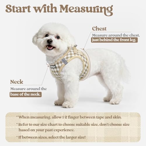 rabbitgoo Dog Harness Medium Sized and Leash Set, Step-in Puppy Pet Vest