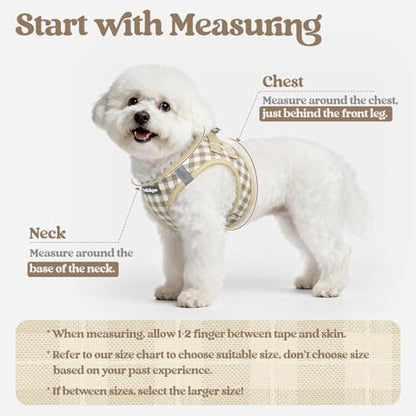 rabbitgoo Dog Harness Small Sized and Leash Set, Step-in Puppy Pet Vest