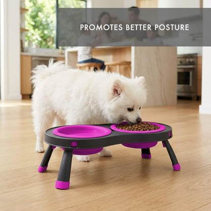 Dexas Pets Elevated Double Pet Feeder, Small, 1 Cup Capacity Bowls, Fuchsia, Raised Pet Food and Water Bowls