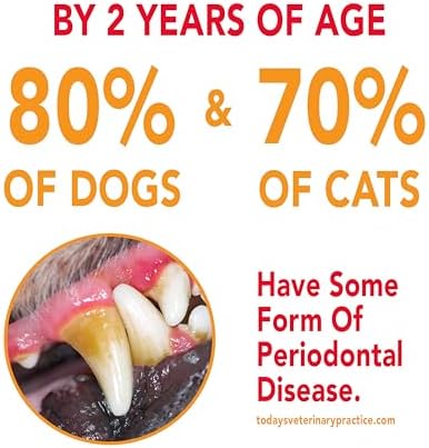 Petrodex Toothpaste for Dogs & Puppies, Cleans Teeth and Fights Bad Breath, Reduces Plaque and_Tartar Formation, Enzymatic Toothpaste, Peanut Flavor, 2.5oz (Pack of 2)