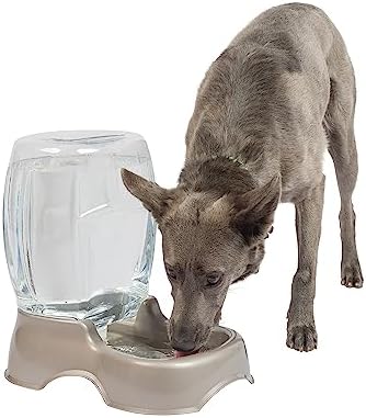 Petmate Pet Cafe Cat and Dog Water Dispenser, 3 GAL, Pearl Tan