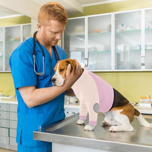 Lelepet Dog Recovery Suit for Front Legs, Dog Sleeve to Stop Licking 2XL