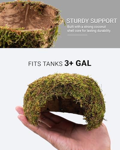 Reptile Hides and Caves – Leopard Gecko Tank Accessories, Natural Dome Reptile Cave & Shelter, Gecko Tank Accessories & Hermit Crab Shelter, Hamster Cage Accessories