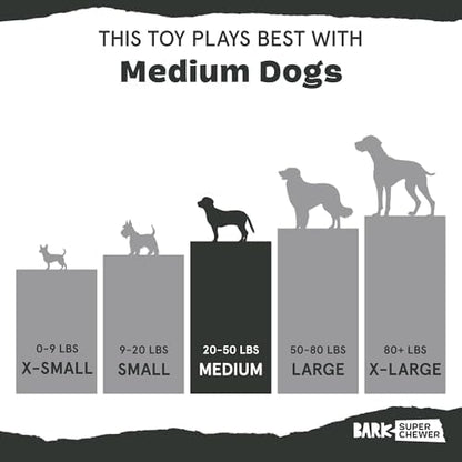 BarkBox Franz The Fox Dog Toy