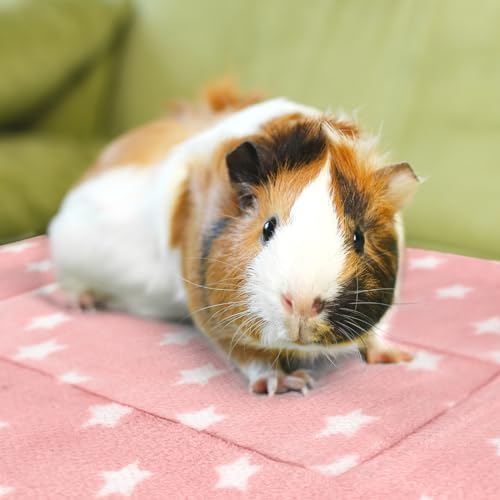 3PCS Guinea Pig Bed, Soft Rabbit Bedding, Fleece Bunny Mat