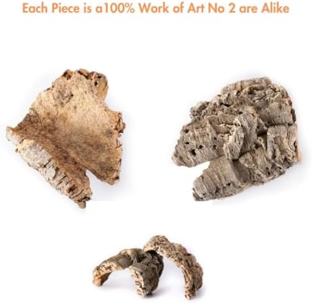 Galápagos (05501) Natural Cork Bark for Reptiles – Ideal for Bearded Dragons, Snakes, and Geckos – Climbing Accessory for Terrariums, Turtle Tanks, and Bird Cages, Flat 6” – 9”, Natural
