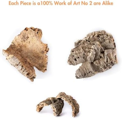Galápagos (05501) Natural Cork Bark for Reptiles – Ideal for Bearded Dragons, Snakes, and Geckos – Climbing Accessory for Terrariums, Turtle Tanks, and Bird Cages, Flat 6” – 9”, Natural