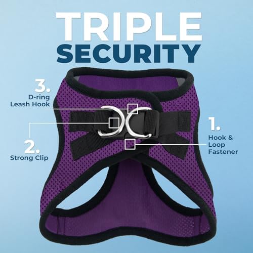 Voyager Step-in Air Dog Vest Harness - Purple/Black Trim, X-Large