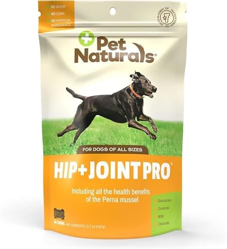 Pet Naturals Hip and Joint Pro Supplement with Glucosamine, Green-Lipped Mussel, and Chondroitin for Dogs, Duck Flavor, 60 Chews