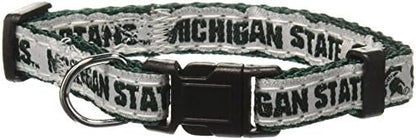 COLLEGE MICHIGAN STATE SPARTANS Dog Collar, Small