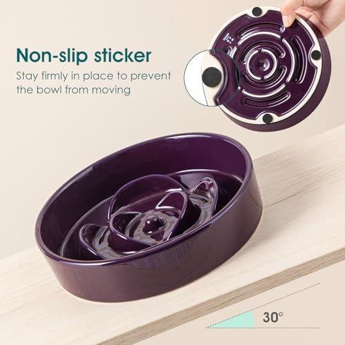 vancasso Slow Feeder Dog Bowl, 0.6 Cups Ceramic Small Puzzle Dog Food Dish