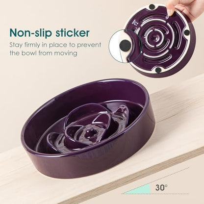 vancasso Slow Feeder Dog Bowl, 0.6 Cups Ceramic Small Puzzle Dog Food Dish