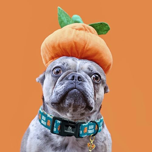 Lionheart glory Thanksgiving Dog Collar-Turkey Fall Cute Dog Collars with Plastic Buckle Duty Soft Adjustable Collar for Small Dogs Girls Boys Collars Party Pet Gift