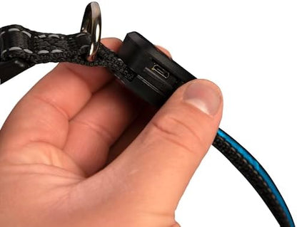 Sherry Kline LED Light-Up Pet Collar - USB Rechargeable - Flashing Glow in The Dark Size Large, Color: Blue