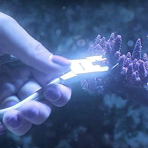 10FK Ultimate Coral Fragging and Coral Propagation Kit for Reef Hobbyists - 19 Pcs, Rollup case, Stainless Steel Instruments