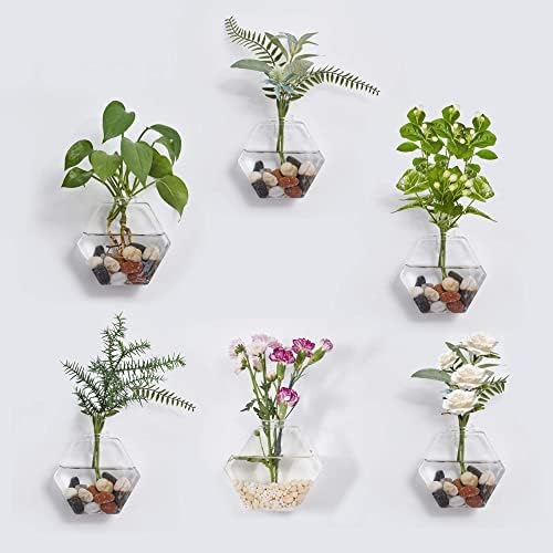 Glass Wall Planters 6PcsTerrarium Hanging Air Plant Holders Containers for Hydroponics Plants, Succulents, Herbs, Flowers (Hexagon)