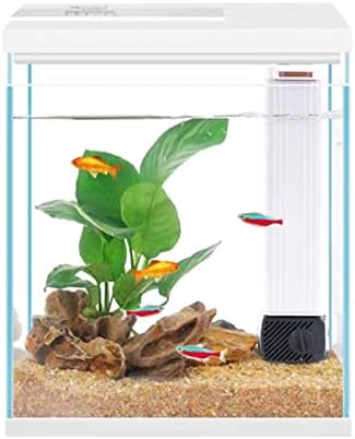 Pronetcus Betta Fish Tank, 2 Gallon Glass Aquarium Starter Kit, Small Fish Tank with Filter and Light.(White)