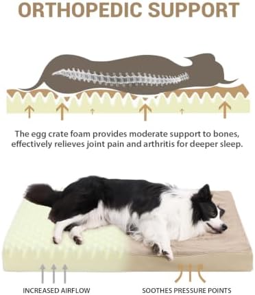 KSIIA Orthopedic Dog Bed for Large Dogs with Waterproof Lining, Khaki,41x27
