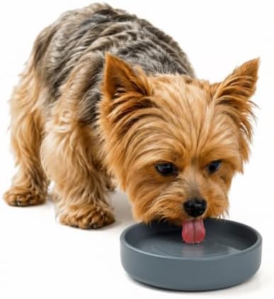 The Perfect Dish - Silicone Dog Bowl for Food & Water, 6" x 1.25"-Charcoal