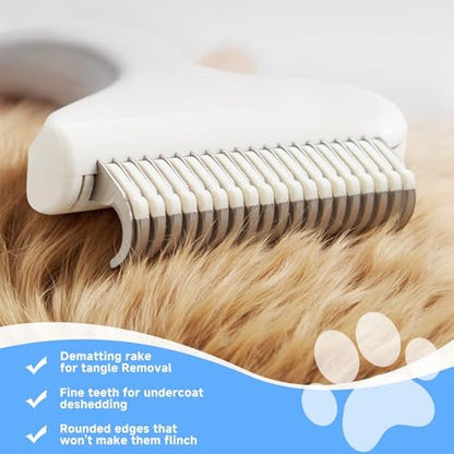 Pet Steam Brush for Dog, Cat & Dog brush for shedding - 1 Waterless Shampoo